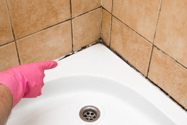 Best Emergency Mold Removal  in Eastpoint, FL